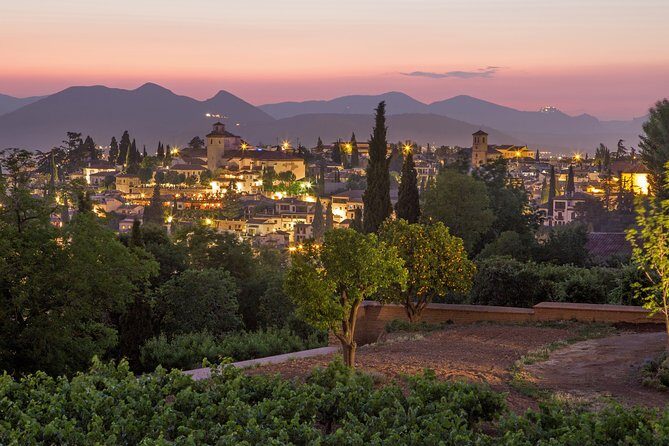 Albaicin and Sacromonte Private Tour - Price and value: what $98.33 per person really buys