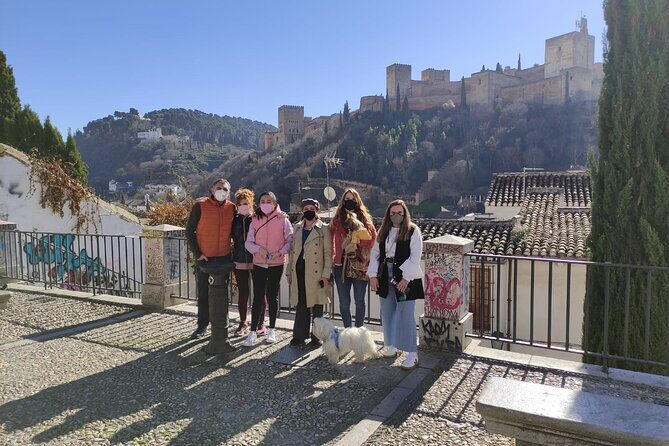 Albaicin guided tour with dogs - Why the Albaicín-with-dogs format feels right
