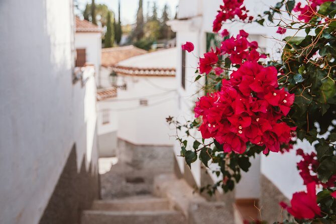 Albaicín & Sacromonte Walking Tour - Footwear, Stairs, and Slippery Downhills: The One Real Downside