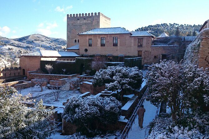 Alhambra private tour with tickets - Entering the Alhambra game plan: where this tour saves you time