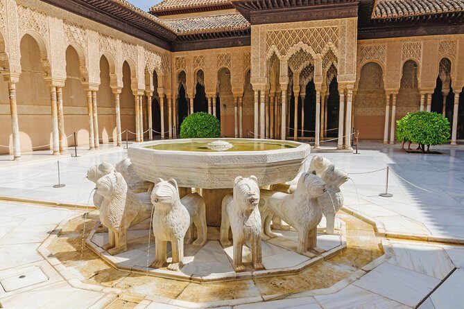 Alhambra Ticket and Guided Tour with Nasrid Palaces - Meet at Polinario Café Bar and arrive with buffer