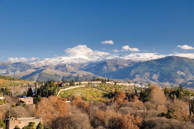 Alpujarras Day Trip Private or Small Group Tour - Key things I’d focus on before booking