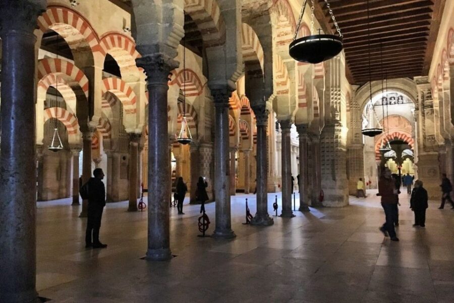 Cordoba Highlights Full-Day Tour from Granada - Price and Value: Is EUR 223 (About $223) Reasonable?