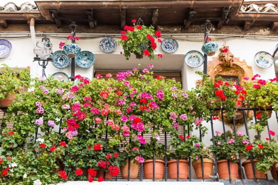 Granada: 2hour Tour of The Albaicín & Sacromonte Premium - Key highlights to look for
