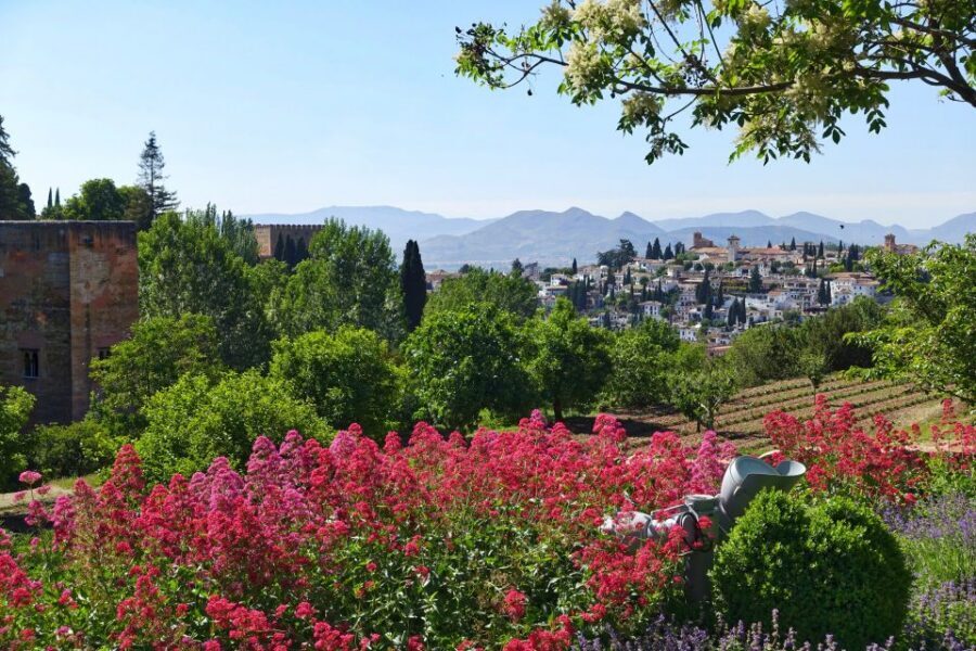 Granada: Alhambra Palace Guided Tour - Entering Alhambra: getting in fast and staying oriented