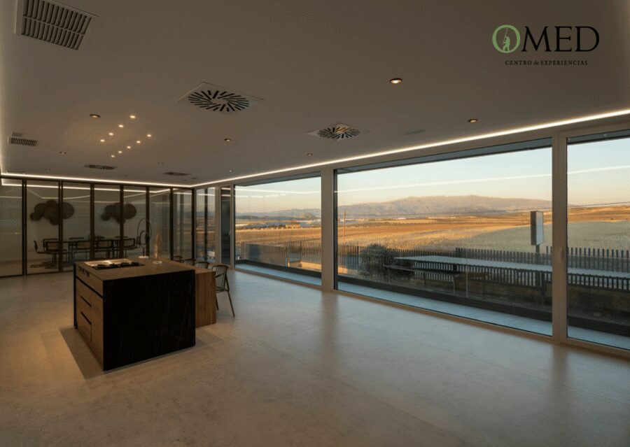 Granada in EVOO: Guided tour and unique sensorial tasting - The tasting table with Sierra Nevada views: how to taste without overthinking it