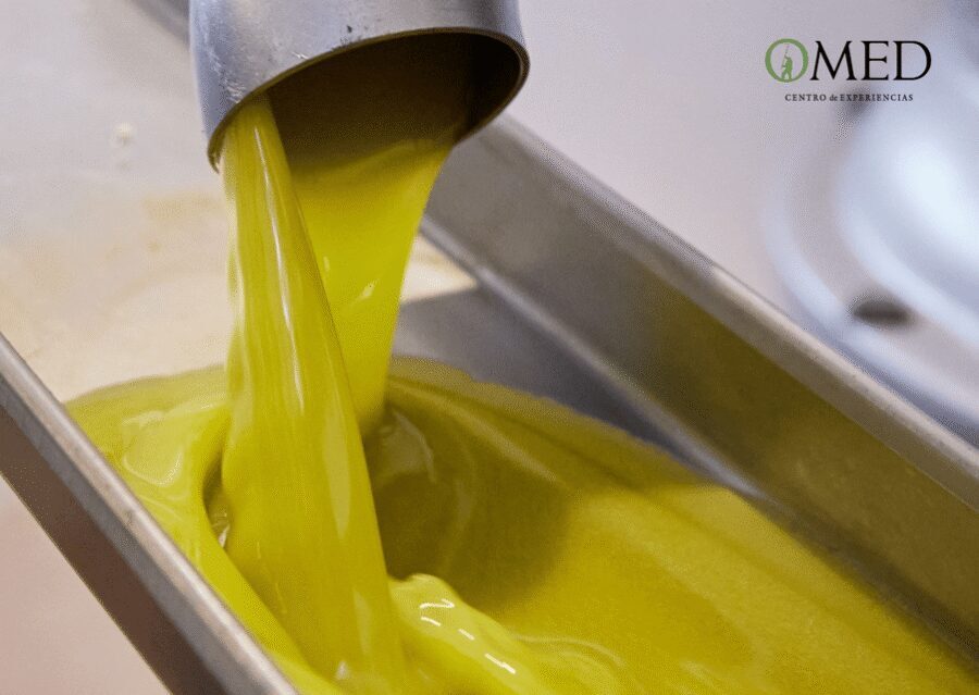 Granada in EVOO: Olive grove guided tour and sensory tasting - Should you book the Granada in EVOO: Olive grove guided tour and sensory tasting?
