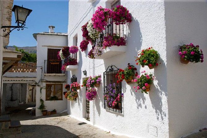 Las Alpujarras Full-Day Tour with Optional Lunch from Granada - Key highlights worth your time
