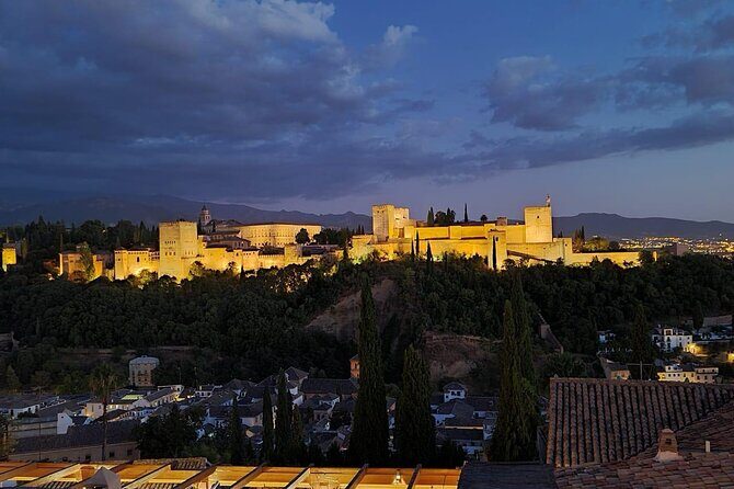 Private Night Tour of the Alhambra in Granada (includes tickets) - Nasrid Palaces at night: what your guide should help you notice