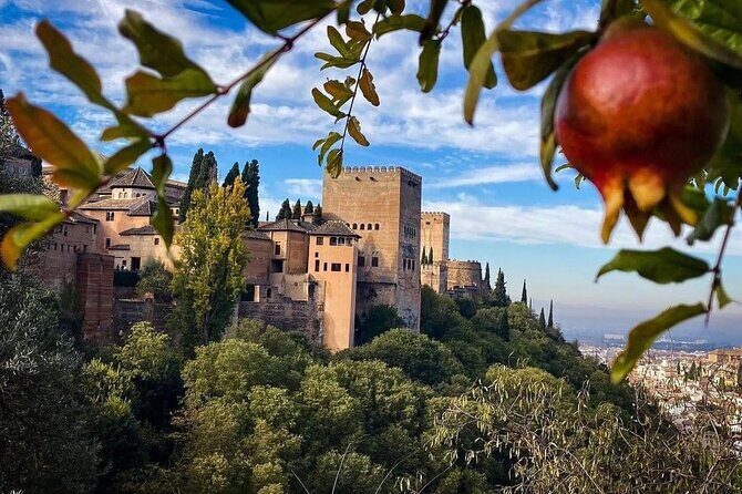 Private Tour to The Alhambra and Generalife from Motril port - Price and value: what $497.77 buys (and what to watch)